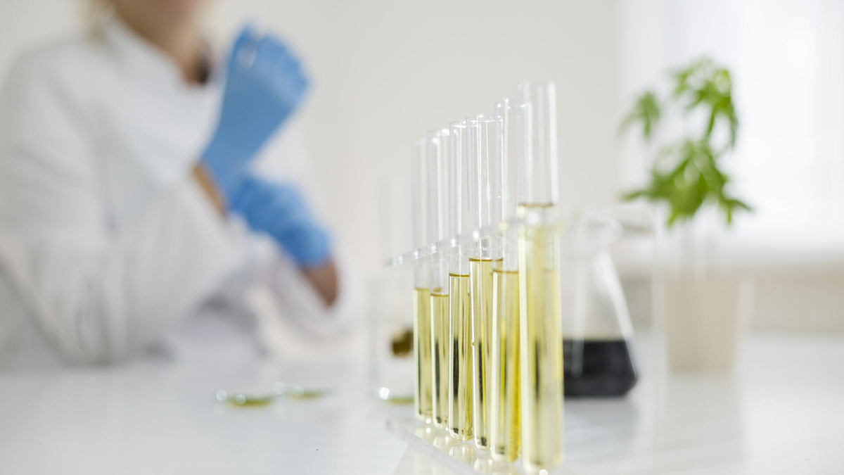 CBD might help prime cells against COVID
