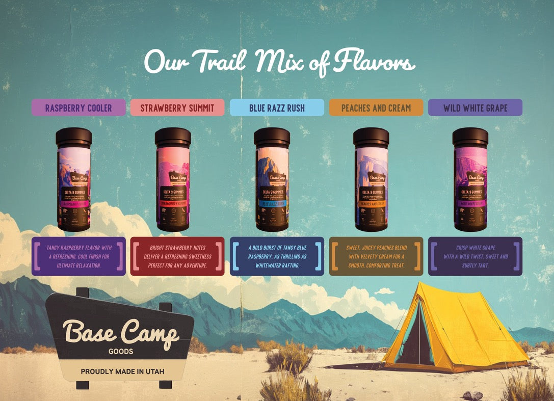 Base camp 30 count gummies 150mg thc (Peaches and cream)