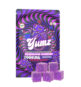 YUMZ - (AMANITA MUSCARIA MUSHROOM GUMMIES)